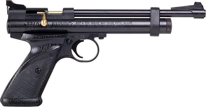 Full Kit Crosman 2240 Bolt Action CO2-Powered .22 Caliber Airgun Hunting Pistol / Defense Sidearm / Co2 Pellets & Travel Bag
