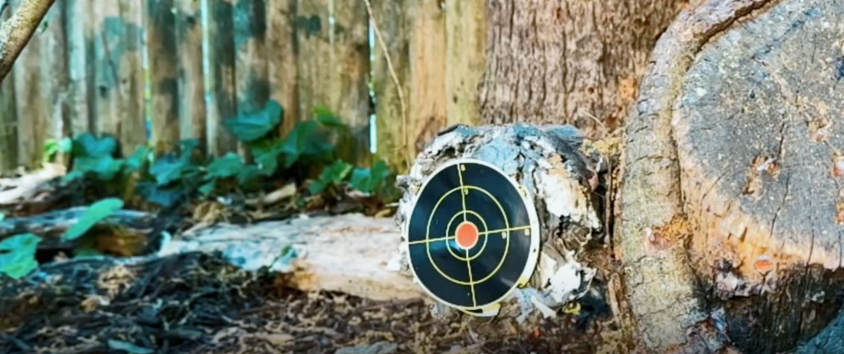 .22 / .25 Cal Exploding Pellets - 77 Count Explosive Airgun Slugs