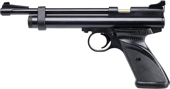 Full Kit Crosman 2240 Bolt Action CO2-Powered .22 Caliber Airgun Hunting Pistol / Defense Sidearm / Co2 Pellets & Travel Bag