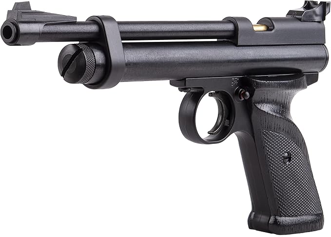 Full Kit Crosman 2240 Bolt Action CO2-Powered .22 Caliber Airgun Hunting Pistol / Defense Sidearm / Co2 Pellets & Travel Bag
